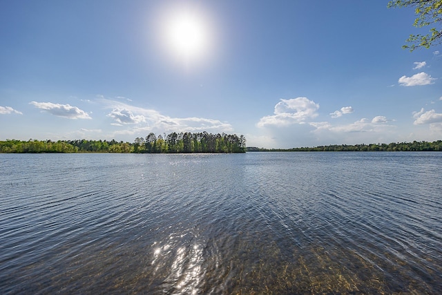 1293 Shadywood Shores Dr NW, Pine River, MN 56474