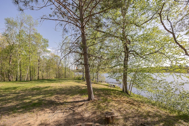 1293 Shadywood Shores Dr NW, Pine River, MN 56474