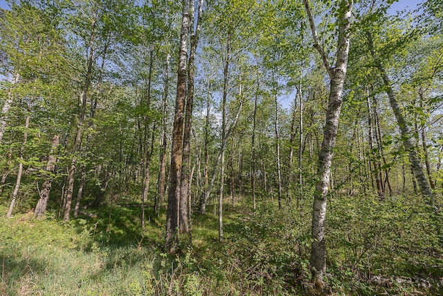 1293 Shadywood Shores Dr NW, Pine River, MN 56474