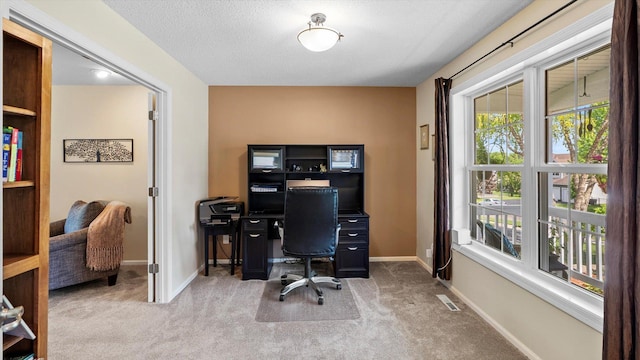 8548 139th St, Savage, MN 55378 - office featuring carpet floors and baseboards