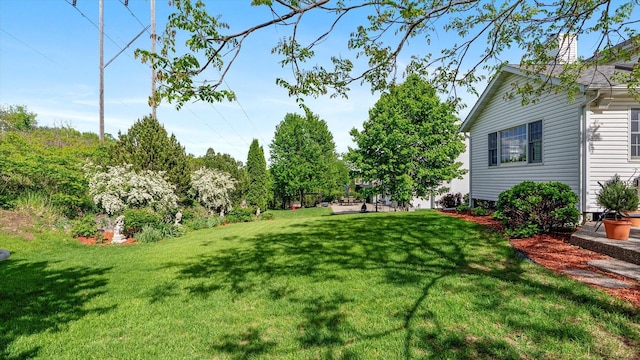 8548 139th St, Savage, MN 55378 - view of green lawn