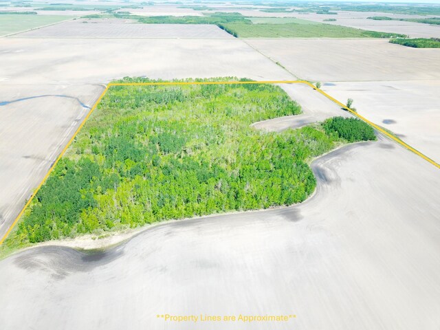 TBD 110th St, Strathcona, MN 56759