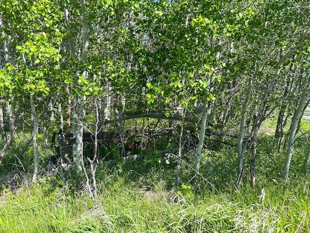 TBD 110th St, Strathcona, MN 56759
