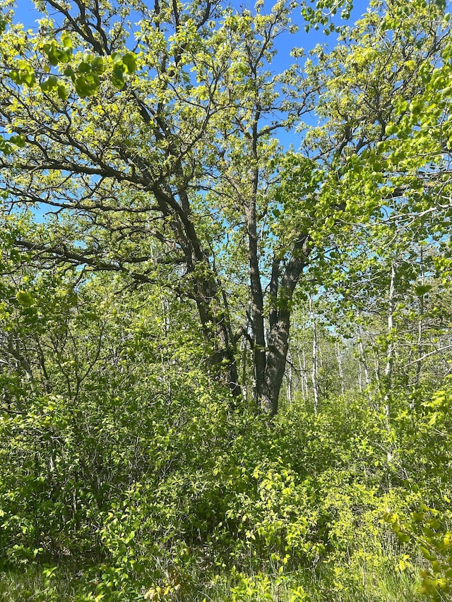 TBD 110th St, Strathcona, MN 56759