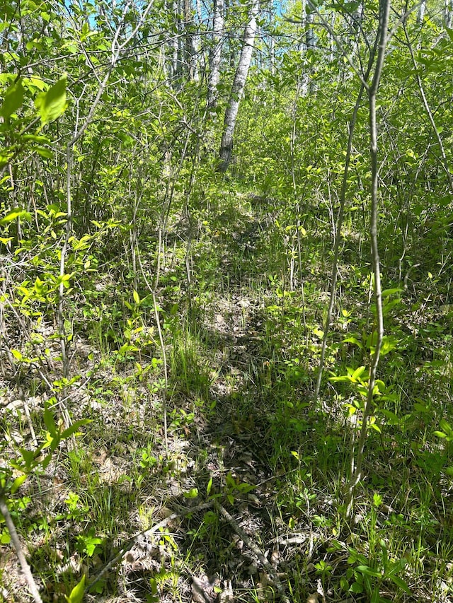TBD 110th St, Strathcona, MN 56759