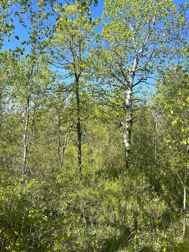 TBD 110th St, Strathcona, MN 56759