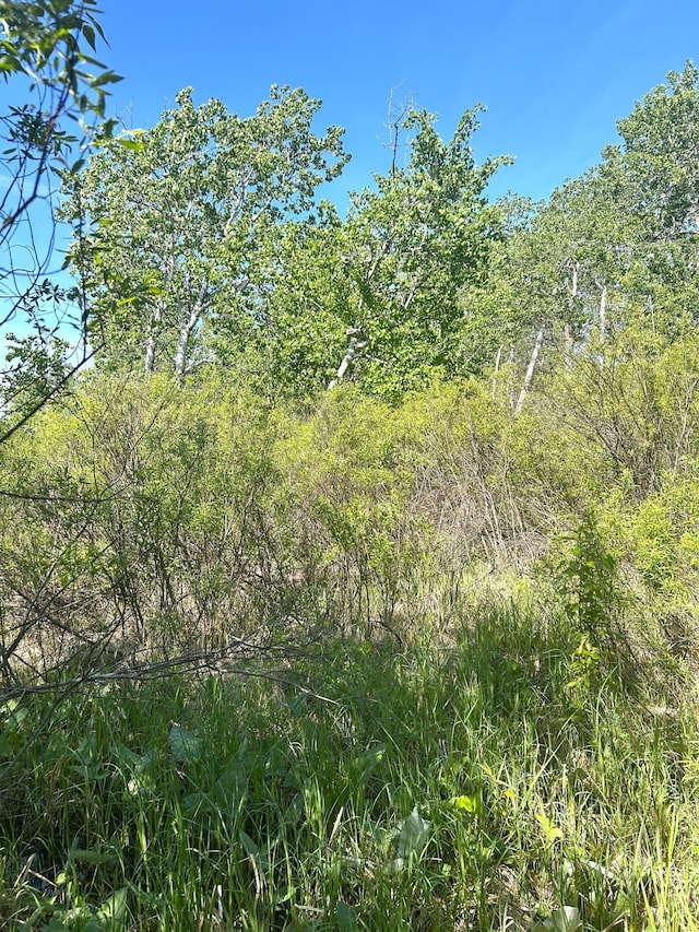 TBD 110th St, Strathcona, MN 56759