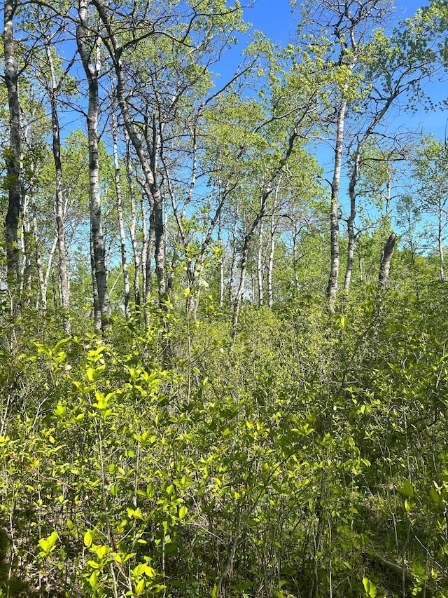 TBD 110th St, Strathcona, MN 56759