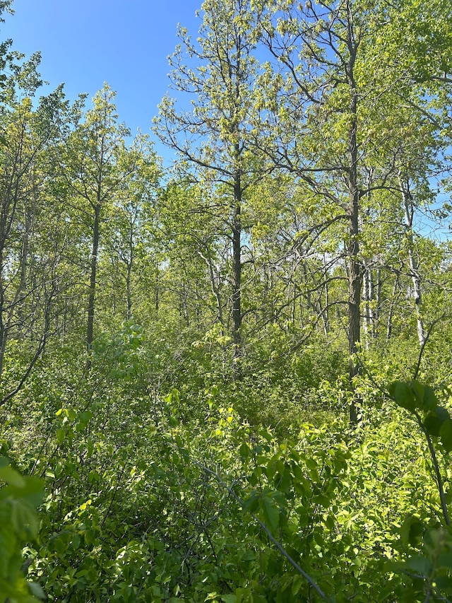 TBD 110th St, Strathcona, MN 56759