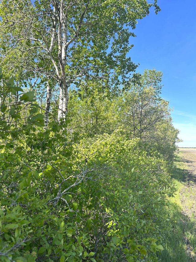 TBD 110th St, Strathcona, MN 56759