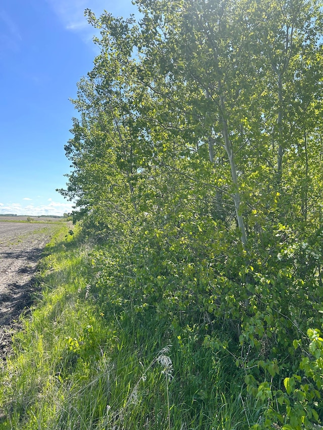 TBD 110th St, Strathcona, MN 56759