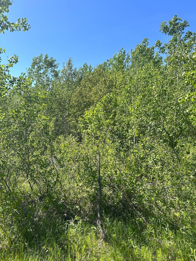 TBD 110th St, Strathcona, MN 56759