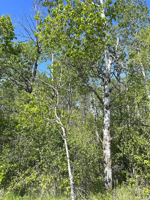 TBD 110th St, Strathcona, MN 56759