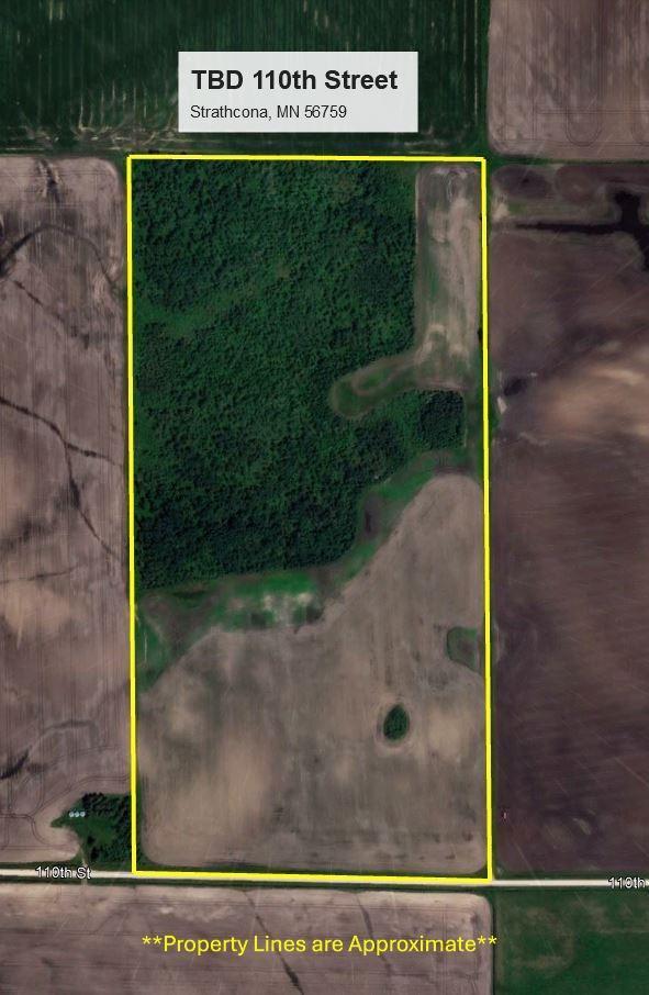 TBD 110th St, Strathcona, MN 56759