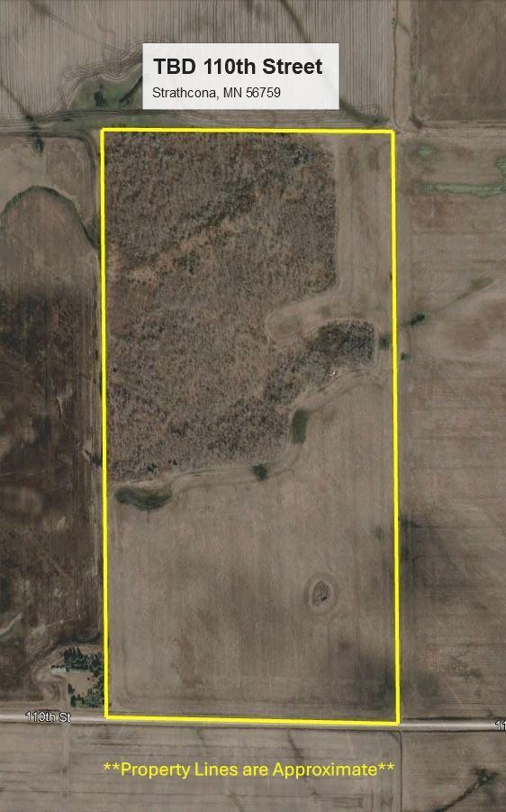 TBD 110th St, Strathcona, MN 56759