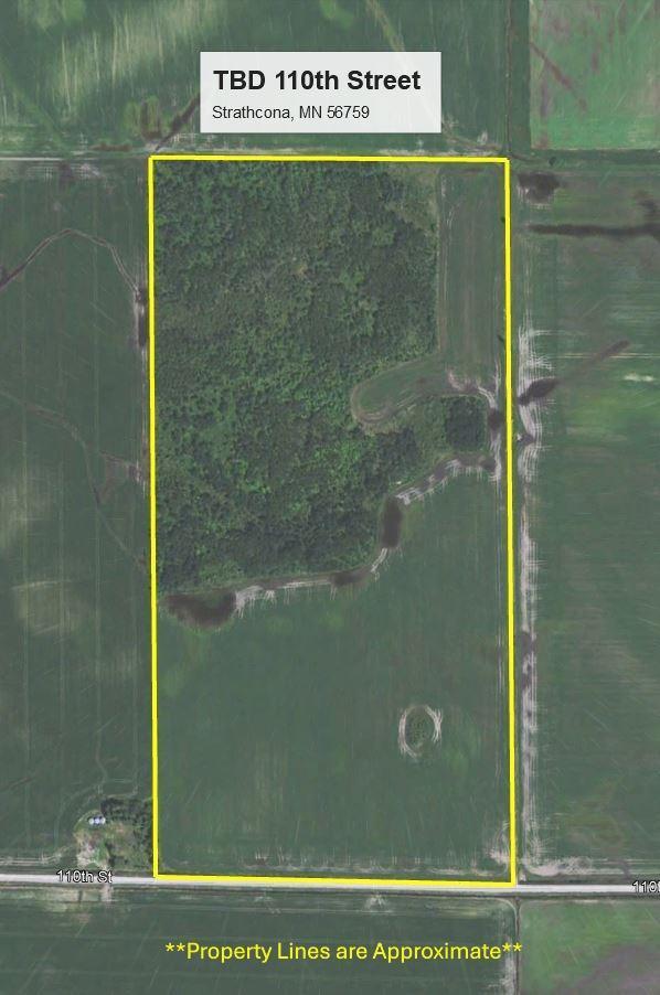 TBD 110th St, Strathcona, MN 56759