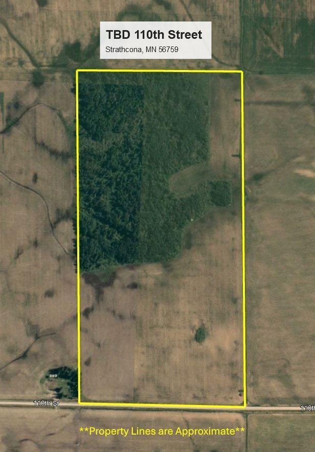 TBD 110th St, Strathcona, MN 56759