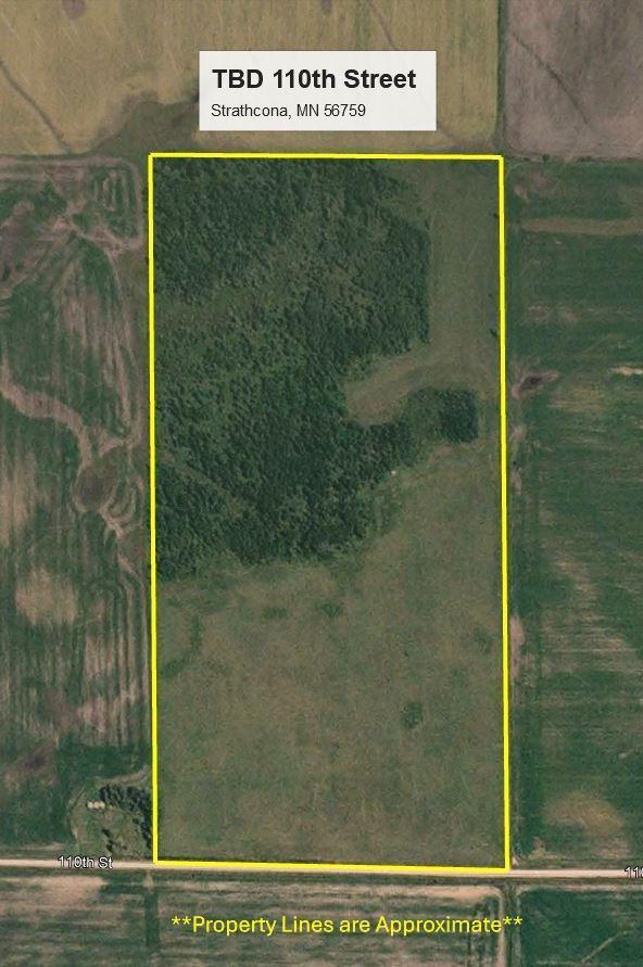 TBD 110th St, Strathcona, MN 56759