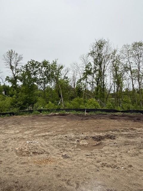 10051 Mulberry Ln, Corcoran, MN 55374 - view of undeveloped land