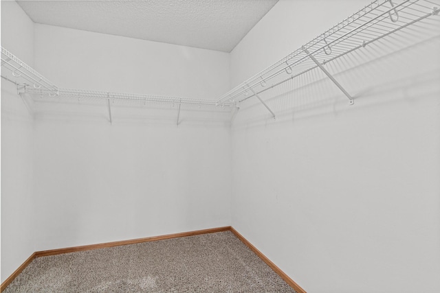 4707 Blaine Ave Unit 709, Inver Grove Heights, MN 55076 - spacious closet with carpet floors
