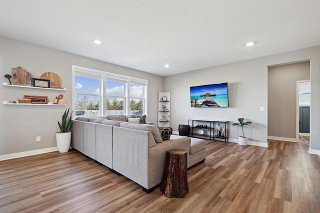 5282 Randolph Ave NE, Otsego, MN 55374 - living room featuring wood finished floors, plenty of natural light, baseboards, and recessed lighting