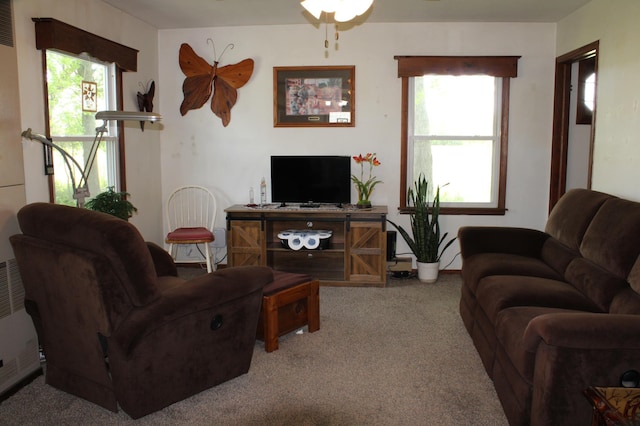 44500 Elmcrest Ave, Fish Lake Twp, MN 55032 - living room featuring carpet flooring and a ceiling fan