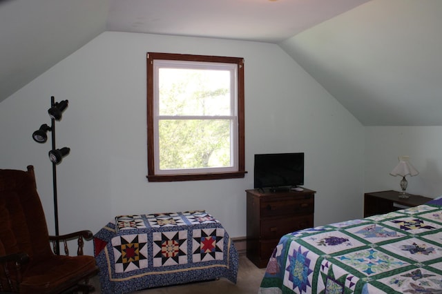 44500 Elmcrest Ave, Fish Lake Twp, MN 55032 - bedroom with vaulted ceiling