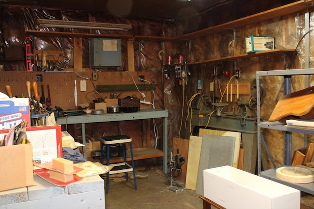 44500 Elmcrest Ave, Fish Lake Twp, MN 55032 - storage area with electric panel