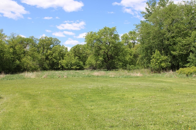 44500 Elmcrest Ave, Fish Lake Twp, MN 55032 - view of green lawn