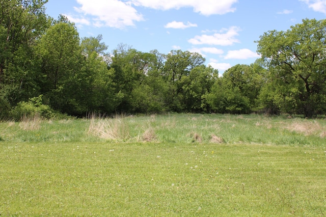 44500 Elmcrest Ave, Fish Lake Twp, MN 55032 - view of yard