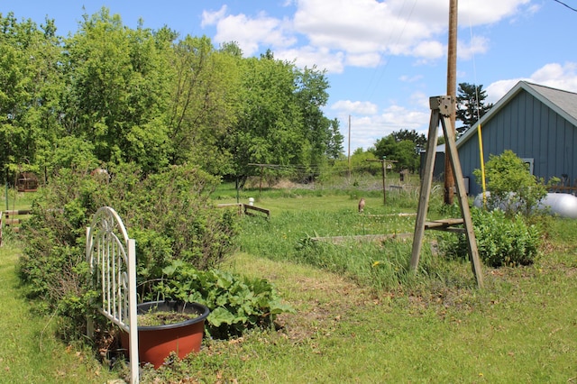 44500 Elmcrest Ave, Fish Lake Twp, MN 55032 - view of yard with a garden
