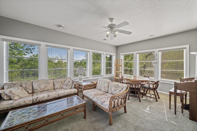 17260 Keystone Ave N, Hugo, MN 55038 - sunroom / solarium with carpet flooring, a textured ceiling, and baseboards