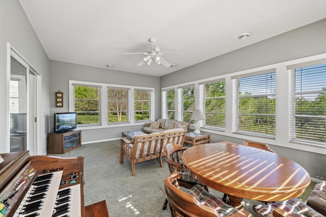 17260 Keystone Ave N, Hugo, MN 55038 - sunroom featuring plenty of natural light, carpet flooring, and baseboards