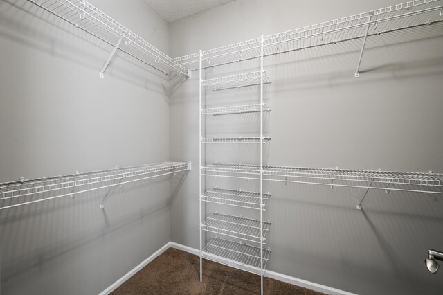 17260 Keystone Ave N, Hugo, MN 55038 - walk in closet with carpet floors