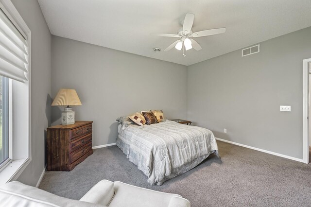 17260 Keystone Ave N, Hugo, MN 55038 - bedroom with carpet floors, baseboards, and a ceiling fan