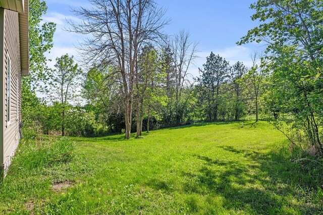 17260 Keystone Ave N, Hugo, MN 55038 - view of grassy yard