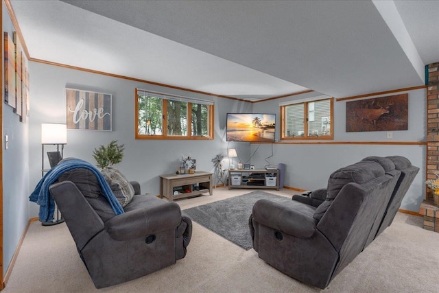 106 1/2 N St, Hudson, WI 54016 - carpeted living room with baseboards