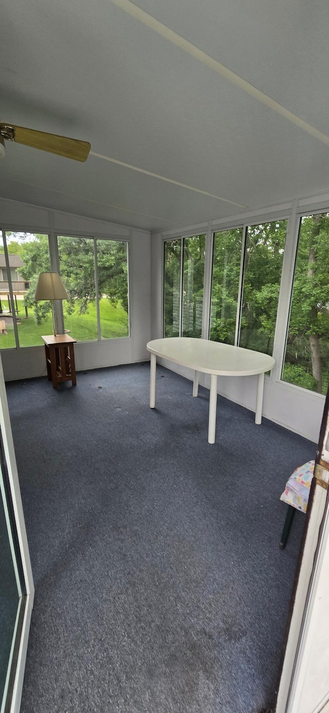 302 8th Ave S, Buffalo, MN 55313 - unfurnished sunroom with plenty of natural light and a ceiling fan