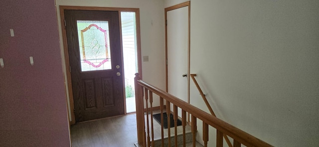 302 8th Ave S, Buffalo, MN 55313 - entrance foyer with plenty of natural light and wood finished floors