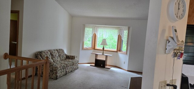 302 8th Ave S, Buffalo, MN 55313 - sitting room with carpet floors and baseboards