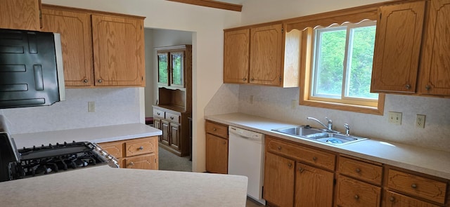 302 8th Ave S, Buffalo, MN 55313 - kitchen with dishwasher, a sink, light countertops, and brown cabinets