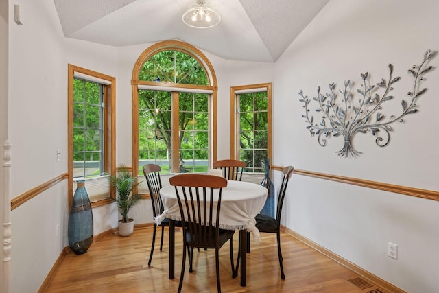 11202 Virginia Rd, Bloomington, MN 55438 - dining area featuring vaulted ceiling, plenty of natural light, and light wood finished floors