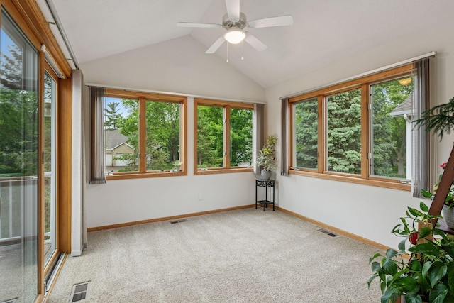 11202 Virginia Rd, Bloomington, MN 55438 - unfurnished sunroom featuring carpet floors and lofted ceiling