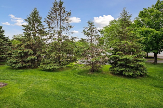 11202 Virginia Rd, Bloomington, MN 55438 - view of green lawn