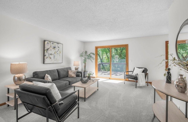 212 Eagle Lake Dr, Maple Grove, MN 55369 - living area with carpet, a textured ceiling, and baseboards