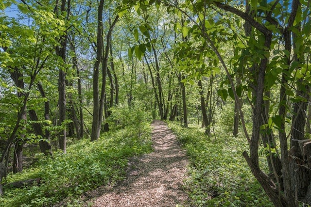 212 Eagle Lake Dr, Maple Grove, MN 55369 - view of woods