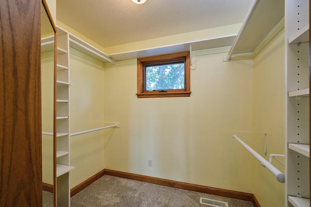 2920 Cassidy Dr NE, Rochester, MN 55906 - photo 18