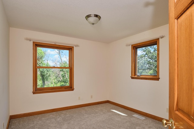 2920 Cassidy Dr NE, Rochester, MN 55906 - photo 22