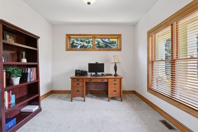6470 Willow Ct, Minnetrista, MN 55364 - photo 8