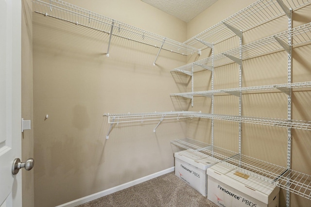 3157 Doneene Ln, Eagan, MN 55121 - spacious closet featuring carpet floors